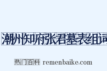 潮州知府张君墓表组词是什么意思的图片